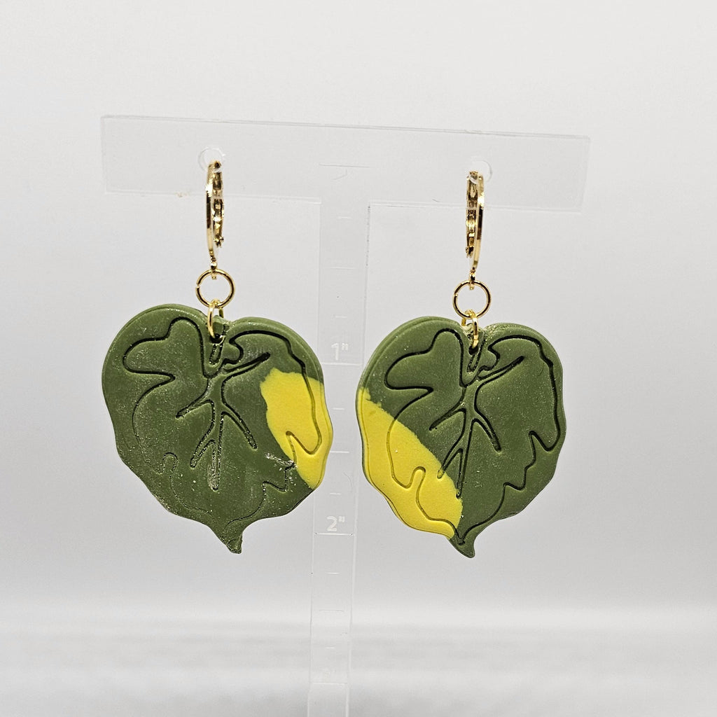 Yellow variegated Monstera Leaf Dangle